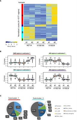 Identification of a Putative Enhancer RNA for EGFR in Hyper-Accessible Regions in Esophageal Squamous Cell Carcinoma Cells by Analysis of Chromatin Accessibility Landscapes